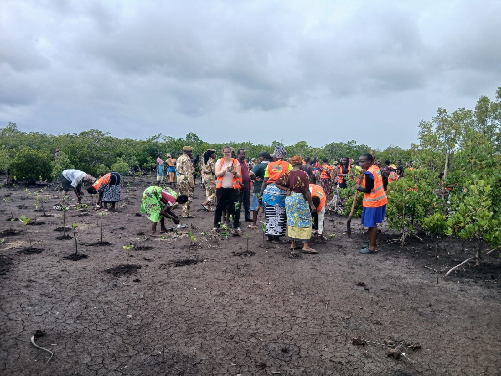 Mida Creek Conservation and Awareness Group mangrove planting day